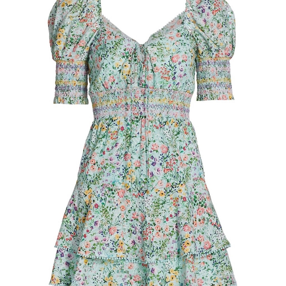Soldout AliceandOlivia FloralSweetheartPuff-Sleeve